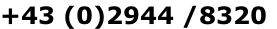 +43 (0)2944 /8320
